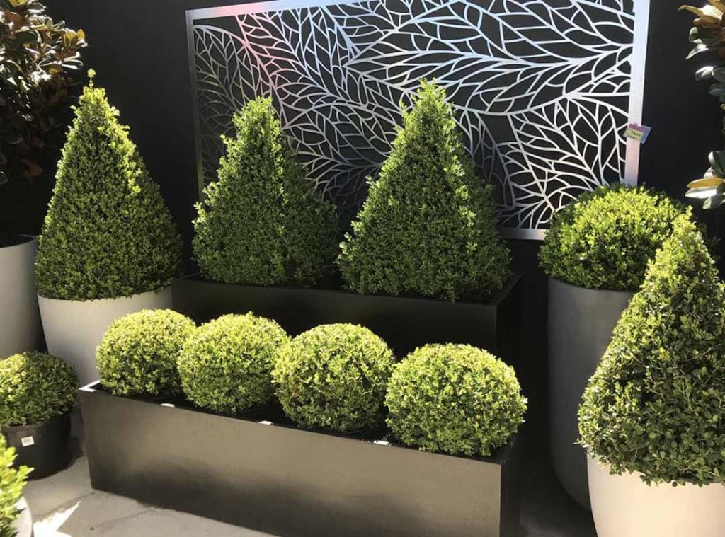 Garden Pots Adelaide Flavio Outdoor Living Solutions