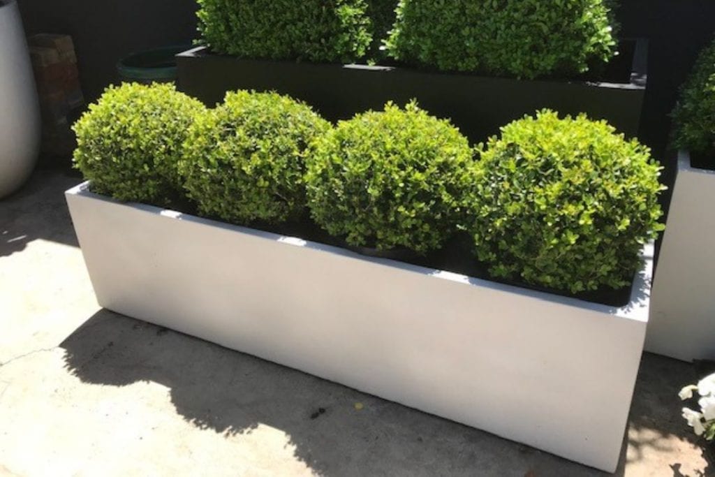 Garden Pots Adelaide Flavio Outdoor Living Solutions