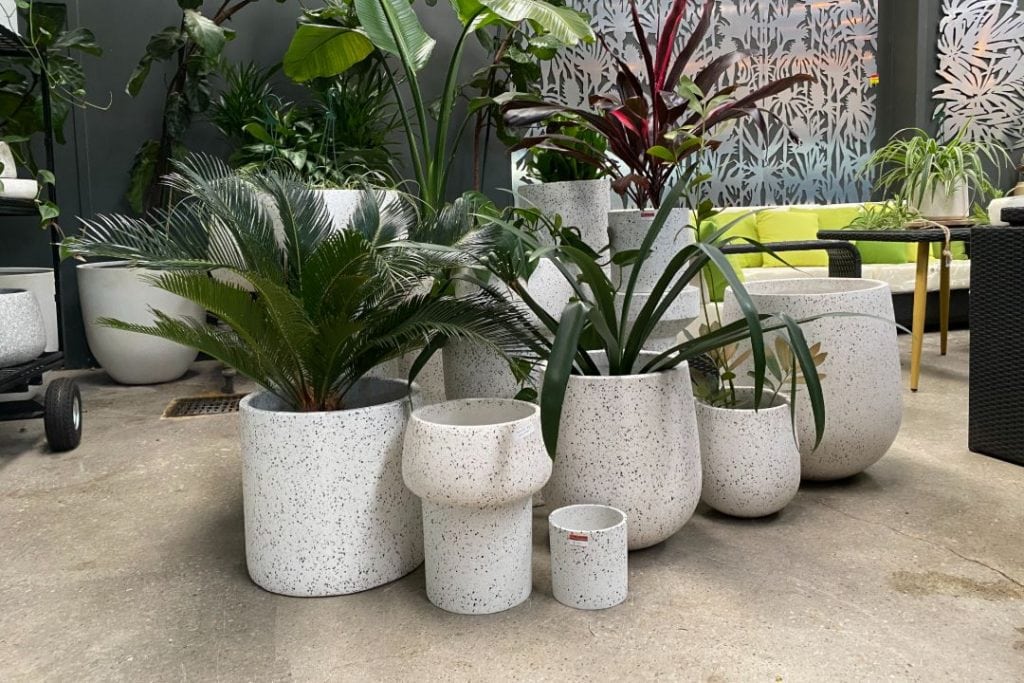 Pots Adelaide Flavio Outdoor Living Solutions Call Us Today!